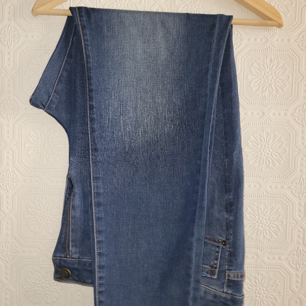 Lane Bryant plus size jeans